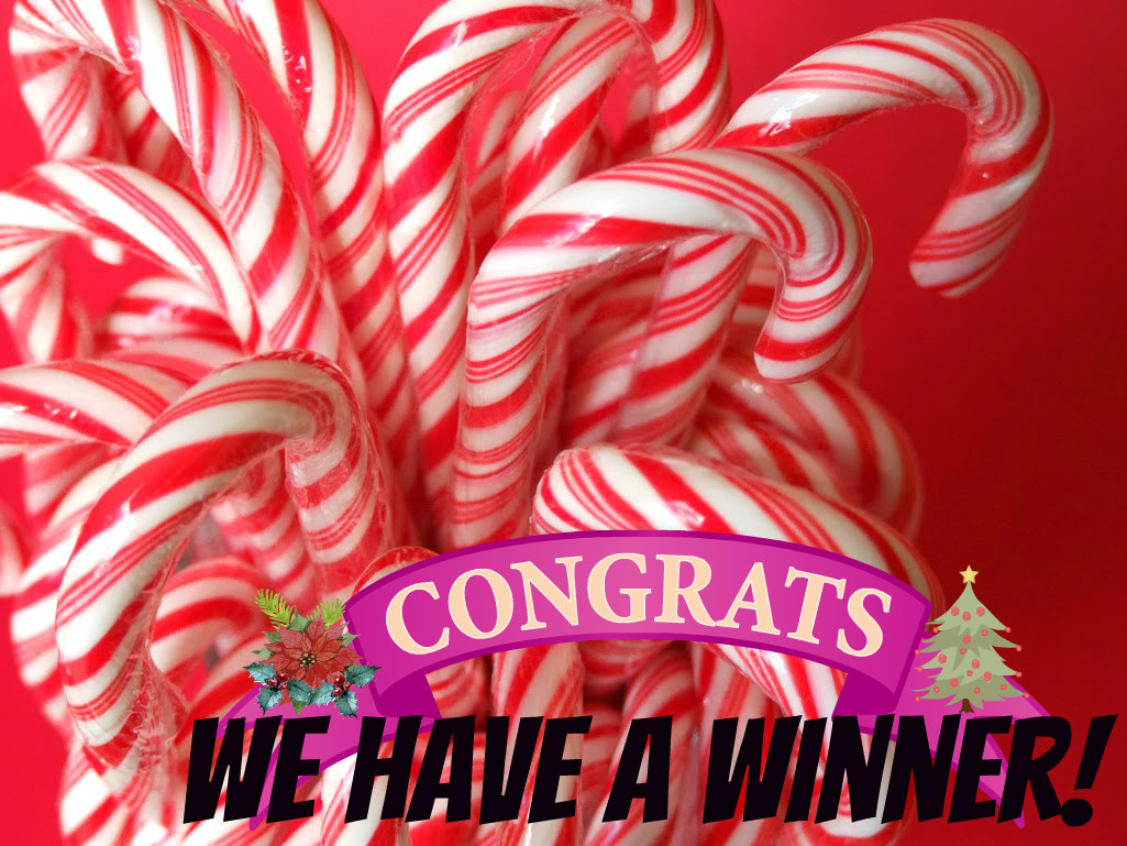 winner-book-christmas